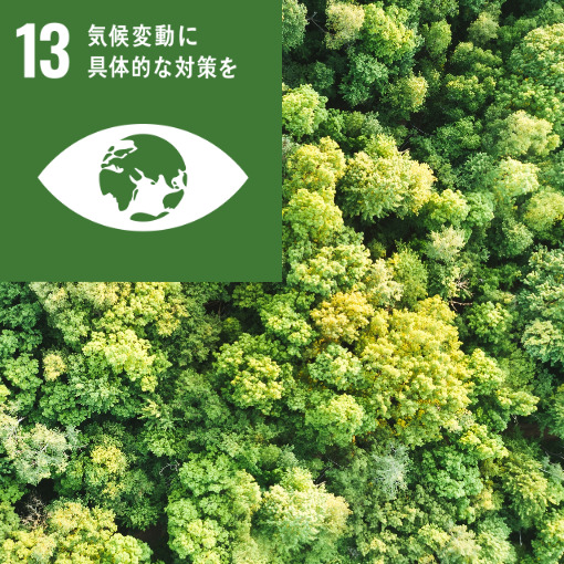 13 気候変動に具体的な対策を