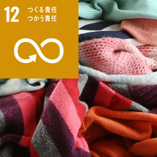 12 つくる責任つかう責任